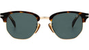 DB 1002/S 086 QT Havana