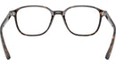 Leonard Optics RB5393 2012