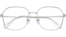 SK1009D 4001