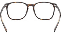 RB5387 Optics 2012