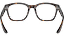 AR 7229 5879 Tortoise