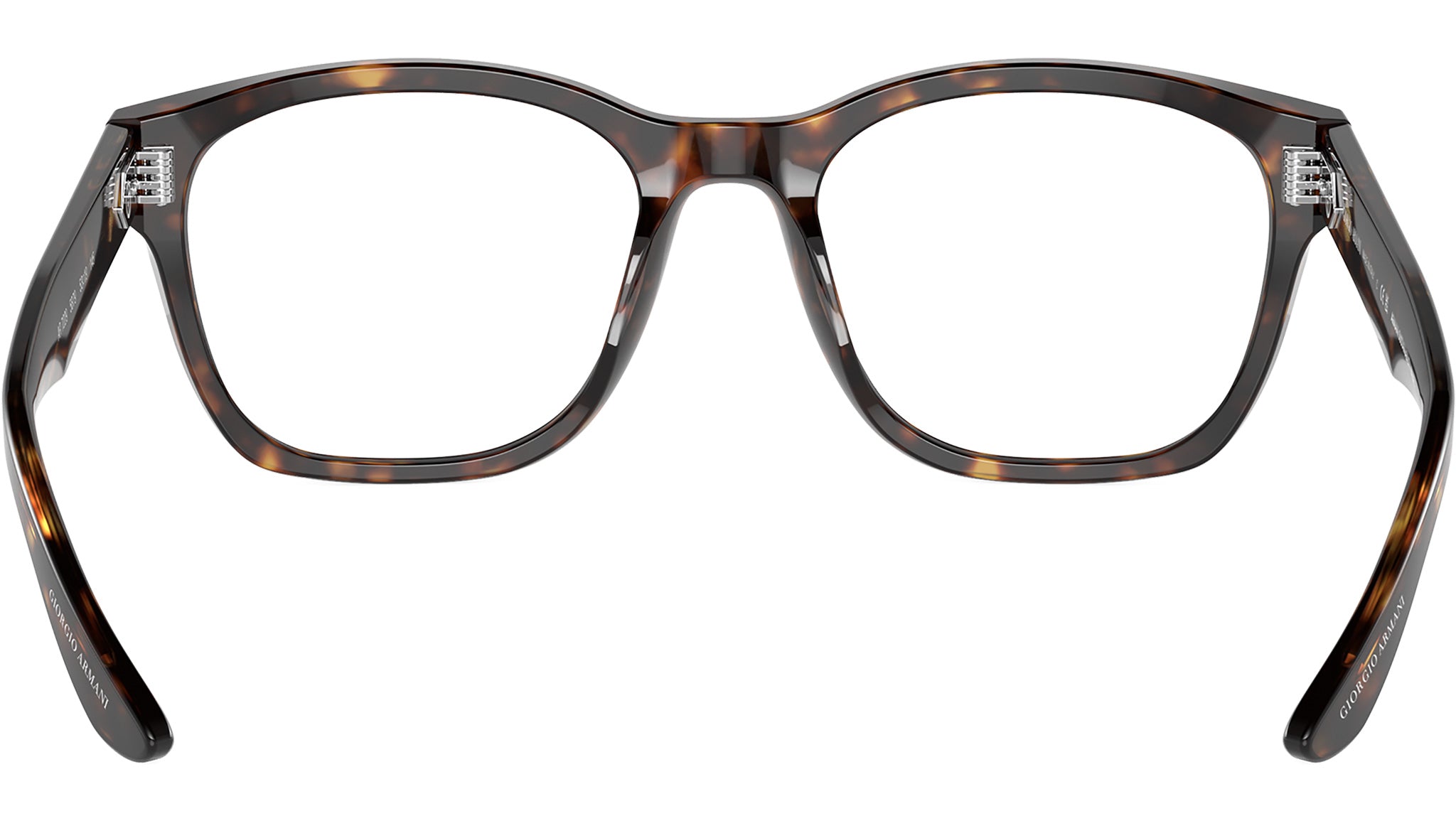 AR 7229 5879 Tortoise