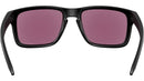 Holbrook OO9102 AI