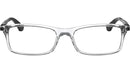 RB7017 Optics 5943