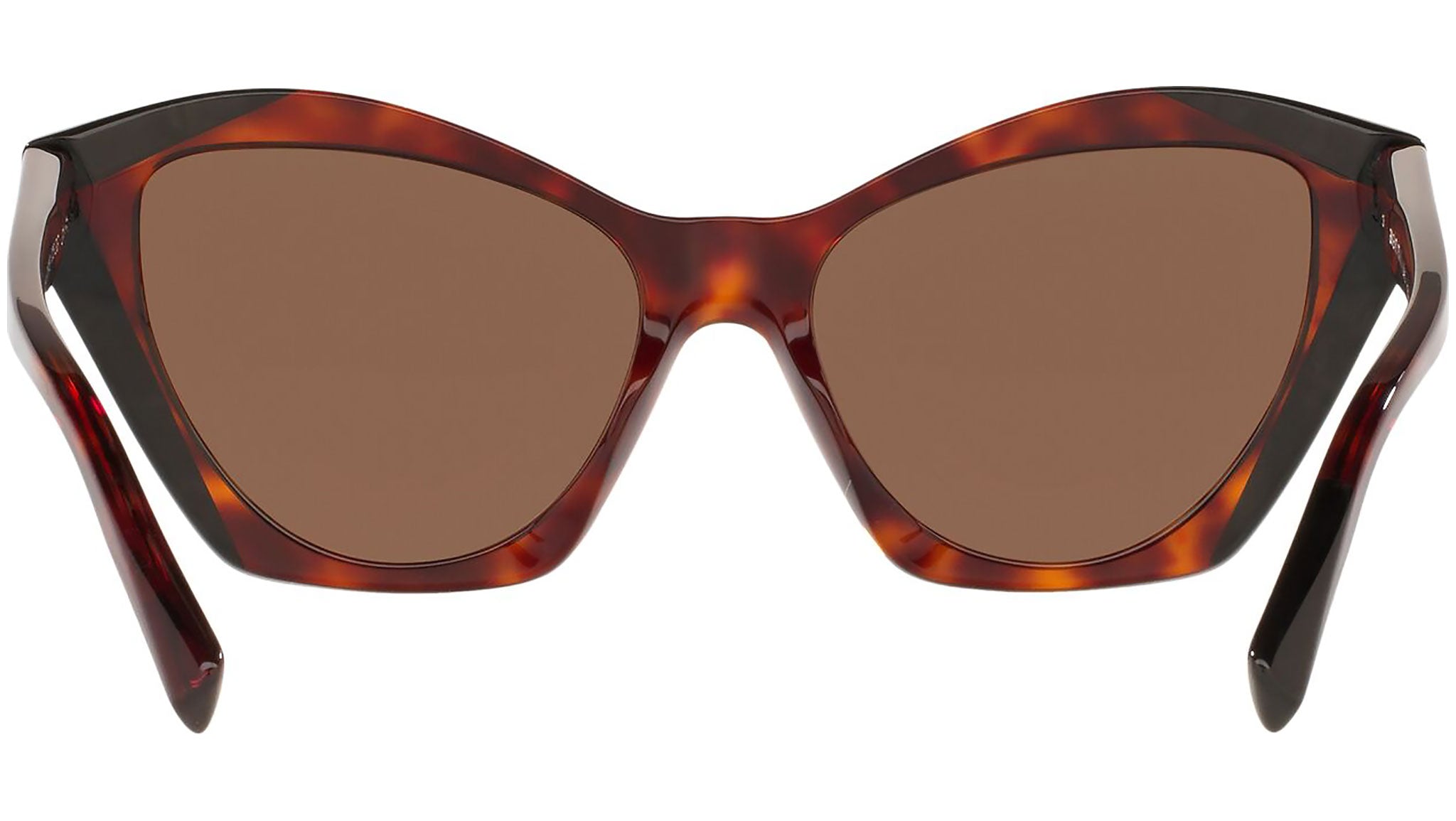 Ambrette 5056 005/3G tortoise