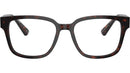 PR A09V 17N1O1 Tortoise
