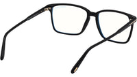 FT5696-B 001