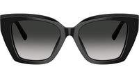 TF4239U 80013C