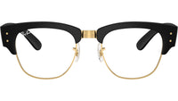 RB7316V Optics 5204