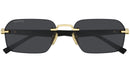 GG2259S 001