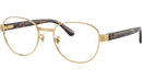 RB6543 Optics 2500