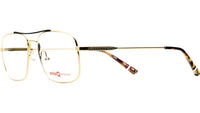 FREMONT GDBK Gold