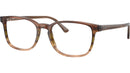 RB5418 Optics 8255