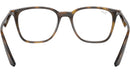 RB7177 Optics 2012