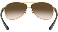 RB3386 arista gold brown