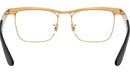 RB3875V Optics 3191