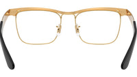 RB3875V Optics 3191