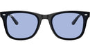 RB4420 601/80 Black