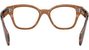 RB0880 Optics 8180