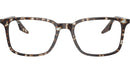 RB5421 Optics 8425