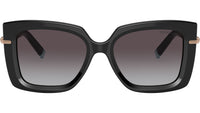TF4199 80013C Black
