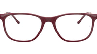 RB7244 Optics 8099