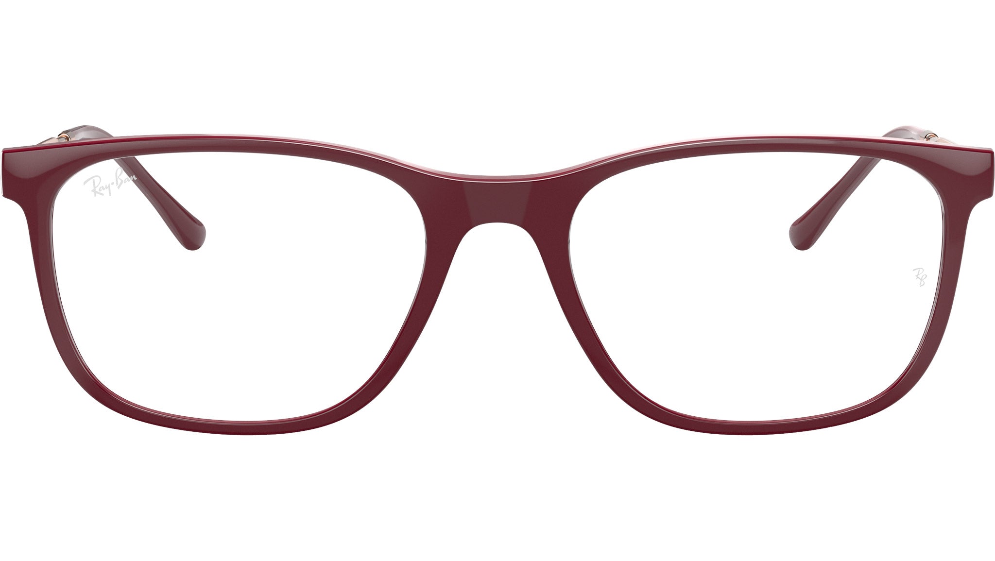 RB7244 Optics 8099