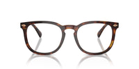 PH4214 613773 Brown Tortoise