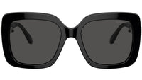 SK6001 100187