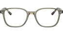 Leonard Optics RB5393 8178