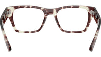 RB5448 Optics 8458