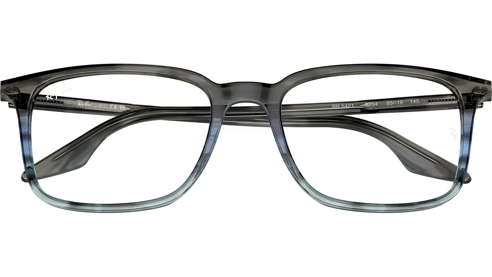 RB5421 Optics 8254