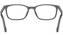PO3189V 1196 Transparent Grey