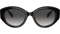 SK6005 10018G