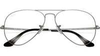 Aviator Optics RB6489 2538