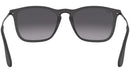 Chris RB4187 matte black