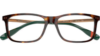 PH2273 6137 Brown Tortoise