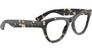 RB5510 Optics 8117