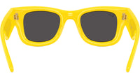 Wayfarer Puffer RB4940 683087