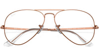 Aviator Optics RB6489 3094
