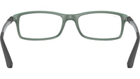 RB7017 Optics 5197