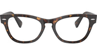 Laramie Optics RB2201V 2012