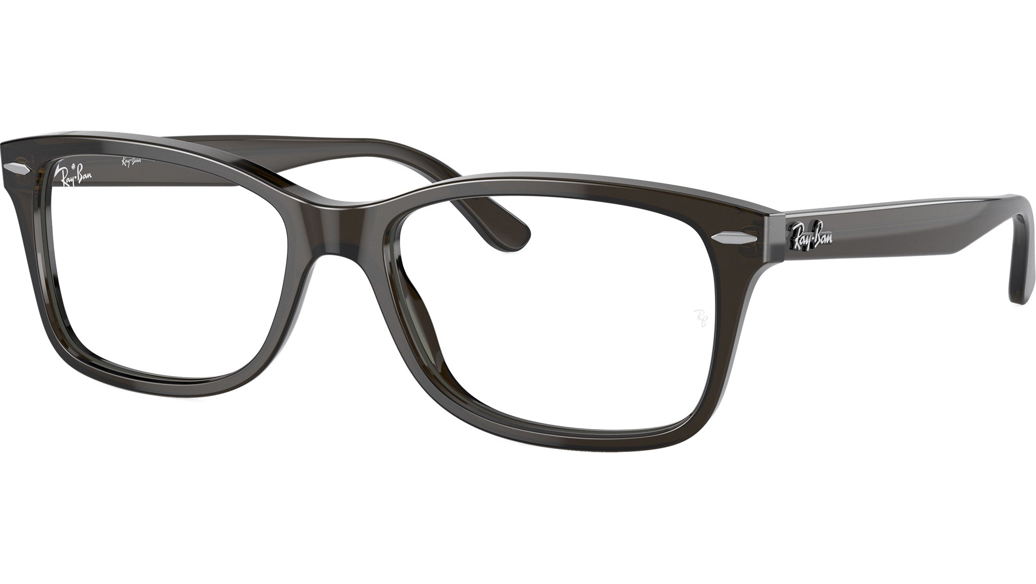 RB5428 Optics 8299