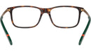 PH2273 6137 Brown Tortoise