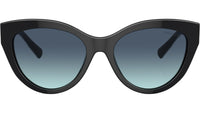 TF4220 80019S Black