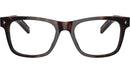 PR A13V 17N1O1 Tortoise