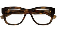 SL 677 003 Shiny Tortoise