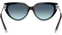 TF4195 80019S