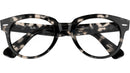 RB2199V Optics 8117