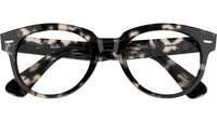 RB2199V Optics 8117